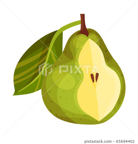 Pomaceous Pear Fruit with Upper Flower Stalk and Green Fibrous Leaf Vector Illustration 65694402