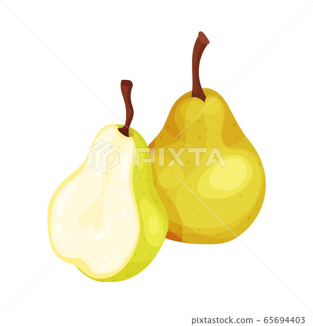 Pomaceous Halved Pear Fruit with Upper Flower Stalk Vector Illustration 65694403