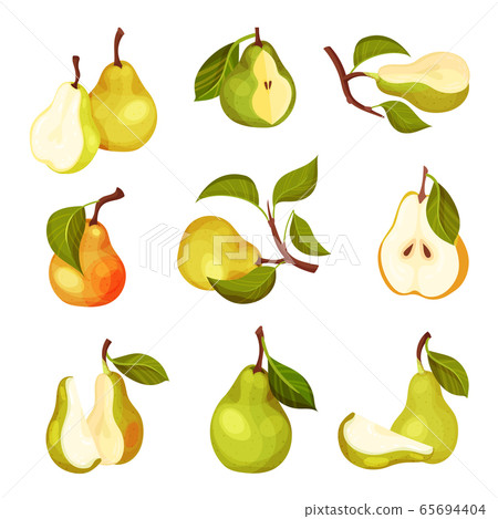 Pomaceous Pear Fruit with Upper End of Flower Stalk and Green Fibrous Leaf Vector Set 65694404