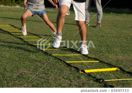 Agility training 65695533
