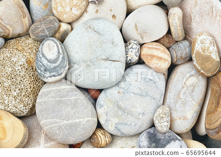 Mix of different sea stones 65695644