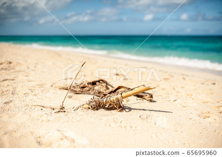 Beautiful white sand beach of Boracay Beautiful white sand beach of Boracay 65695960