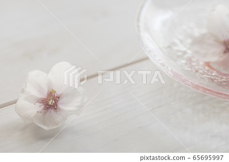 櫻花寄宿家庭 櫻花寄宿家庭 65695997
