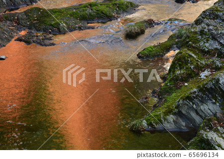 清澈的溪貝希科水杉的秋葉反映在銅山區河流 65696134