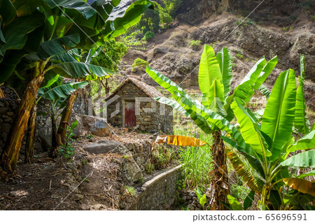 Traditional houses in Paul Valley, Santo Antao Traditional houses in Paul Valley, Santo Antao 65696591