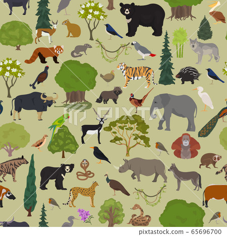 Monsoon forest biome, natural region seamless Monsoon forest biome, natural region seamless 65696700