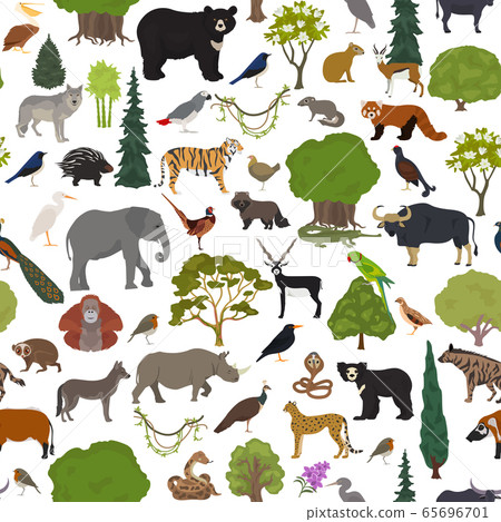 Monsoon forest biome, natural region seamless 65696701