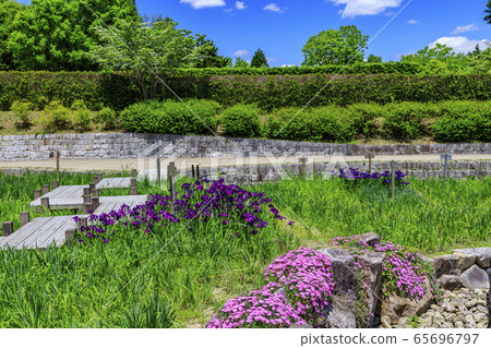 Umami Hills Park Spring 65696797