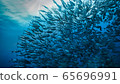 Jackfish herd 65696991