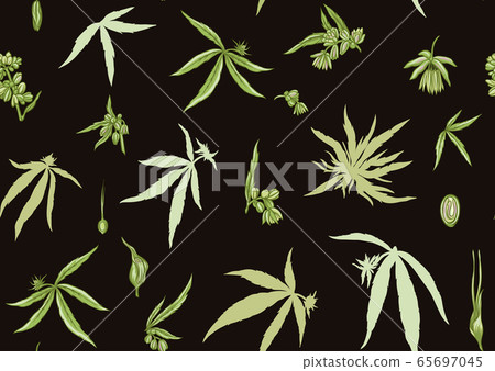 Hemp, Cannabis seamless pattern, background. Hemp, Cannabis seamless pattern, background. 65697045