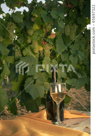glass with white wine in vineyard on old table glass with white wine in vineyard on old table 65697322