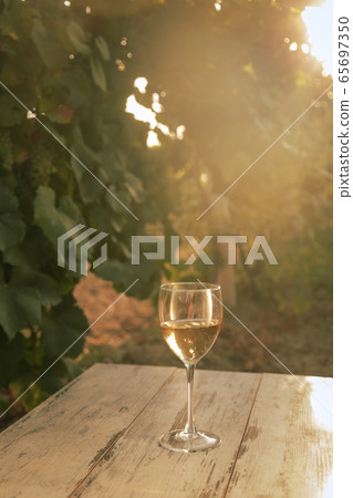 glass with white wine in vineyard on old table glass with white wine in vineyard on old table 65697350