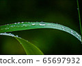 A drop 65697932