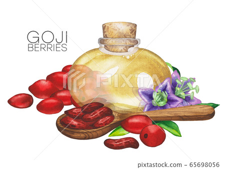 Watercolor essential oil bottle decorated with goji berries, leaves and flowers Watercolor essential oil bottle decorated with goji berries, leaves and flowers 65698056