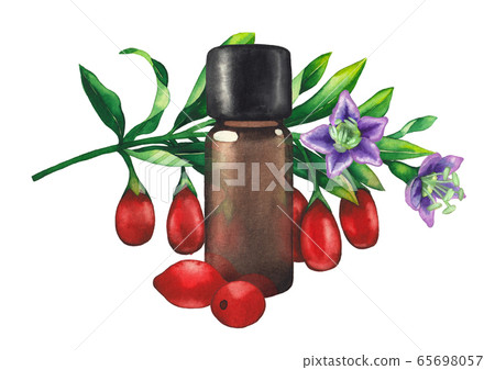 Watercolor essential oil bottle decorated with goji berries, leaves and flowers Watercolor essential oil bottle decorated with goji berries, leaves and flowers 65698057