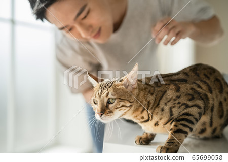 情侶，寵物，生活方式 65699058