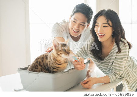 Couple, pet, lifestyle Couple, pet, lifestyle 65699059