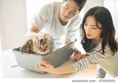 Couple, pet, lifestyle 65699060