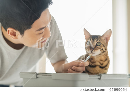 人,動物,生活方式 人,動物,生活方式 65699064