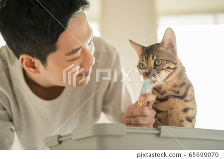 人，動物，生活方式 65699070