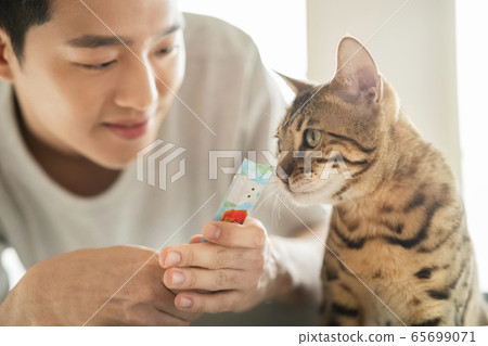 Man, animal, lifestyle 65699071