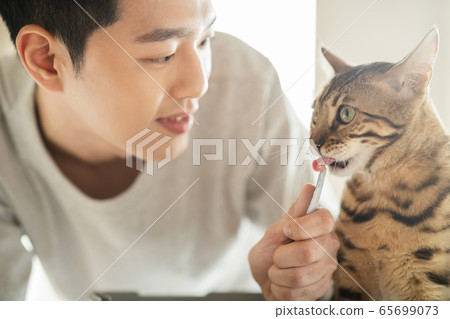 Man, animal, lifestyle 65699073