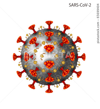 冠狀病毒的插圖 冠狀病毒的插圖 65699404
