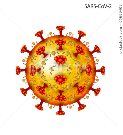 冠狀病毒的插圖 冠狀病毒的插圖 65699405