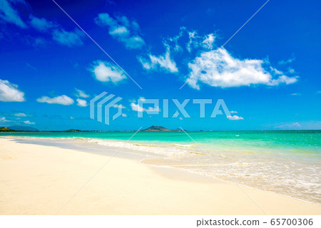 夏威夷熱帶海灘美景 夏威夷熱帶海灘美景 65700306
