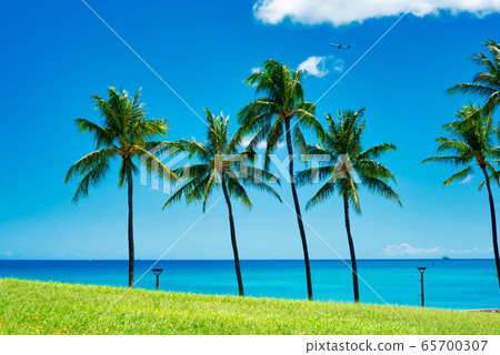 夏威夷熱帶海灘美景 夏威夷熱帶海灘美景 65700307