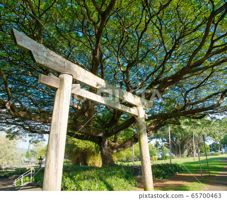 Liliuokalani公園希洛日本花園夏威夷島 Liliuokalani公園希洛日本花園夏威夷島 65700463
