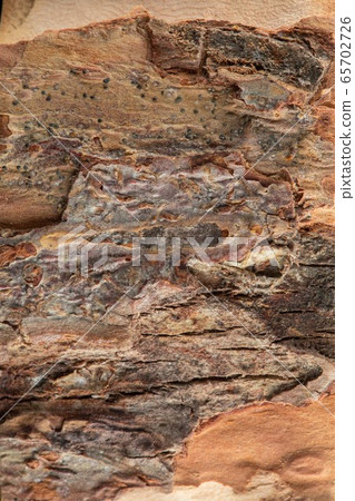 Natural dark wooden bark tree texture background Natural dark wooden bark tree texture background 65702726
