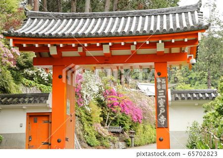 Mimuroto寺 Mimuroto寺 65702823