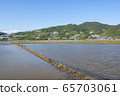 Paddy field 65703061