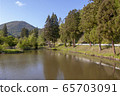 A pond 65703091