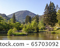 A pond 65703092