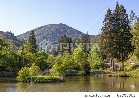 A pond 65703092