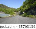 Orchard 65703139