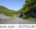 Orchard 65703140
