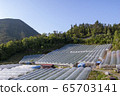 Orchard 65703141
