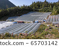 Orchard 65703142