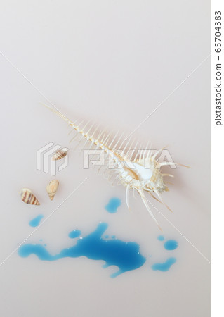 Shell 202005207d10 65704383