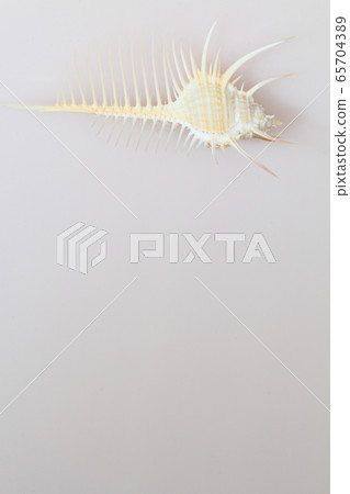 Shell 202005207d16 65704389