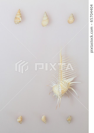 Shell 202005207d27 65704404