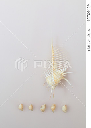 殼牌202005207d32 65704409