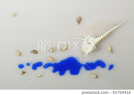 Seashell 202005207d39 65704416