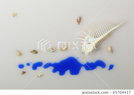 Shell 202005207d40 65704417