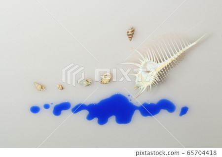 Seashell 202005207d41 Seashell 202005207d41 65704418