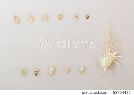 Seashell 202005207d48 65704425