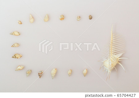 Shell 202005207d50 65704427